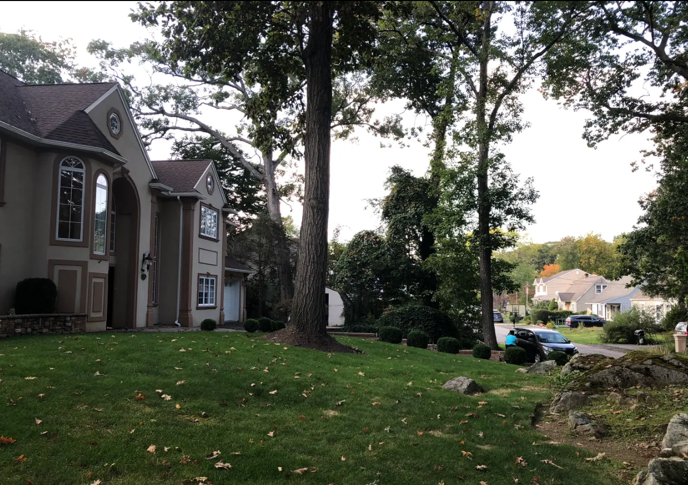 Exterior and front lawn